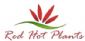 Artificial Plants in MORECAMBE - Red Hot Plants
