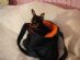 clothing and accessories in WELLINGBOROUGH - Smiley Kids Dogs & Horses