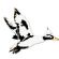  in WARWICK - Colonel Duck Productions Ltd