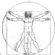 complementary therapy in IPSWICH - Holon Healthcare