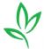 Waxing Treatments in LONDON - Thai London Therapy