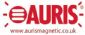 Magnetic Therapy in LONDON - Auris Magnetic