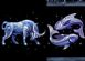 Exhibition Organisers in BRISTOL - Bullfish Charity Fayres