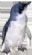 web designers in DERBY - CoolPenguin Web Design
