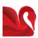 Counselling Services in BIRMINGHAM - Red Swan Psychological Consultancy Ltd