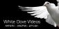  in HIGH WYCOMBE - White Dove Wedding Videos
