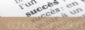 Translation Services in INGATESTONE - Echoes translation