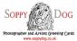  in WORTHING - Soppy Dog Greeting Cards