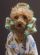Dog Grooming in SOLIHULL - Woofs Mobile Dog Spa Dog Grooming in SOLIHULL - Woofs Mobile Dog Spa