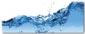  in HALSTEAD - Clear View Window Cleaner