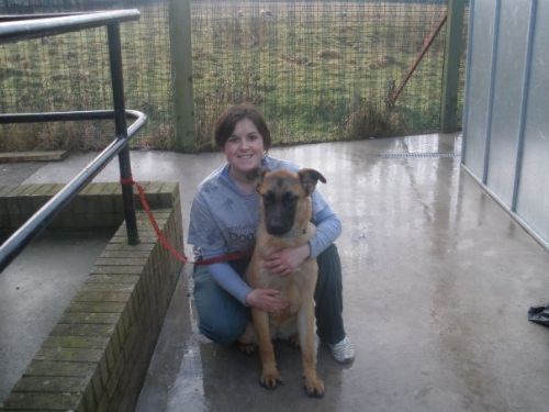 Whitley Bay Cat And Dog Shelter Whitley Bay Cat And Dog Shelter