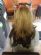 mobile beauty therapists in BRISTOL - Mobile Hairdressing & Spray Tanning By Kansas mobile beauty therapists in BRISTOL - Mobile Hairdressing & Spray Tanning By Kansas