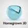 3D Visualisations in WIRRAL - Homegrown 3D
