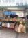 Pet Supplies in SUTTON-IN-ASHFIELD - Wppetsupplies