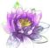 Waxing Treatments in LEICESTER - Mobile Beauty and Holistic Therapy