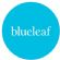 marketing in CHESTER - Blueleaf