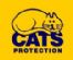 Animal Welfare in KING'S LYNN - Cats Protection Downham Market Adoption Centre