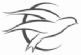 in northampton - The Nightingale Clinic Ltd in northampton - The Nightingale Clinic Ltd