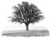counselling in SWINDON - Andrew Cornick, Counselling and Psychotherapy