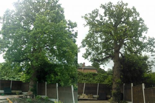 green tree servicing
