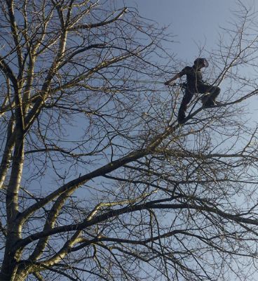 green tree servicing