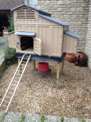 ... Clever Coop Company - Chicken Houses in Castle Bytham, Grantham (UK