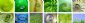 counselling in NOTTINGHAM - Janine Piccirella - Counselling