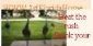 Villas in ellesmere port - Stay Magical 1stFloridahome