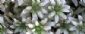handymen in EDINBURGH - Brown Earth Landscapes handymen in EDINBURGH - Brown Earth Landscapes