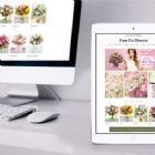 Web Designers - Design and Online Promotions