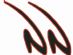 Motorcycle Clothing in BRADFORD - Nicholas Noble UK Ltd