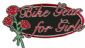 Motorcycle Clothing in WATERLOOVILLE - Bike Gear for Girls Ltd