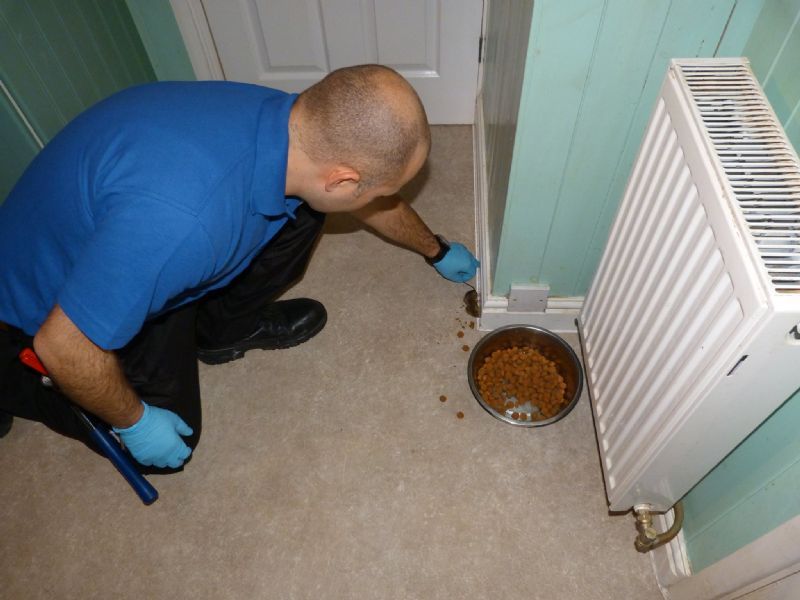 Rodent Property Services Limited Rodent Property Services Limited