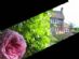 Cottages in GLOUCESTER - Cooks Green Cottage