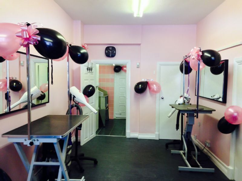 grooming salon vanity paws grooming salon grooming company in hornchurch uk grooming salon vanity paws grooming salon grooming company in hornchurch uk