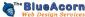 web designers in DEREHAM - The Blue Acorn Web Design Services