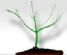 web designers in LIVERPOOL - Web World Designs web designers in LIVERPOOL - Web World Designs
