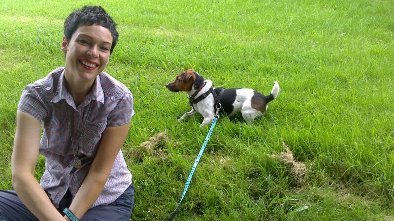 Dog Training In Doncaster Uk Dog Training In Doncaster Uk