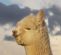 clothing and accessories in YORK - Fowberry Alpacas Knitwear
