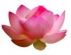 Yoga in HINCKLEY - Shanti Spirit Yoga