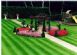 Gardening in WALTON-ON-THAMES - Cala Garden Maintenance Services