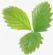 Allergy Services in BATH - Feelgoodagain