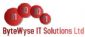 it consultancy in Southampton - ByteWyse IT Solutions Ltd