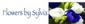 Wedding Accessories in EDGWARE - Flowers by Sylvia
