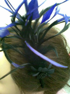 Wedding Hair Accessories Plymouth rochelles wedding fascinators in plymouth uk Wedding Hair Accessories Plymouth rochelles wedding fascinators in plymouth uk
