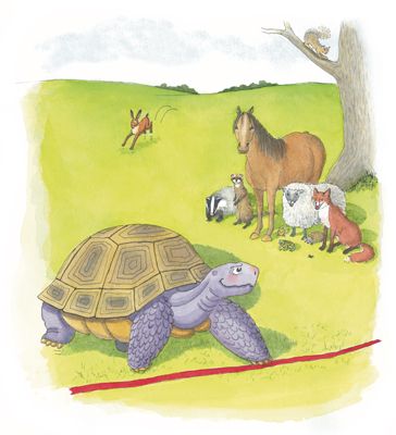 sample from the Tortoise and the Hare illustrated storybook - Design and Print Services Llandysul