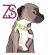 Pet Supplies in LINCOLN - Zukie Style