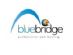 web hosting in LUTON - Blue Bridge Internet Consulting