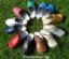 Shoes in BARRY - Westcountry Clogs