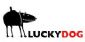 photographers in BRIGHTON - Lucky Dog Photography